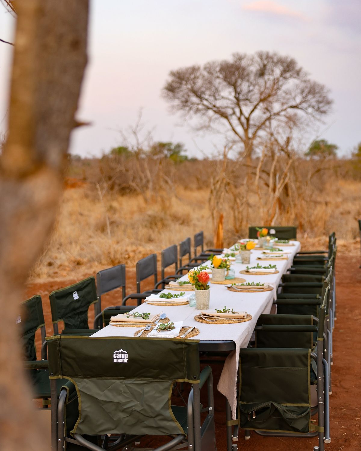 Bush dining